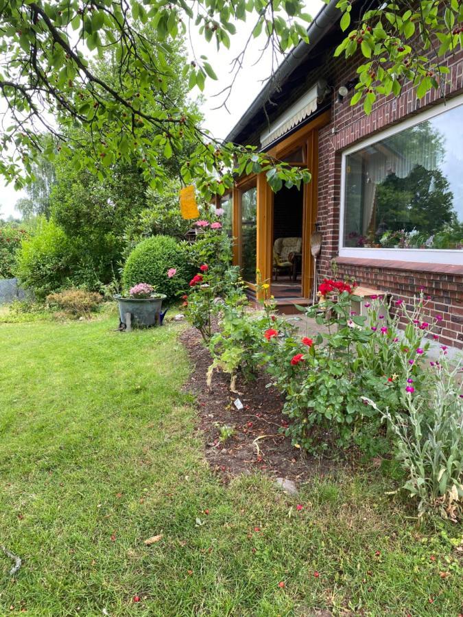 Ferienwohnung Wegener Neetze Exterior foto